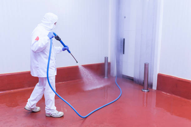 Professional Pressure Washing in Newton, IA